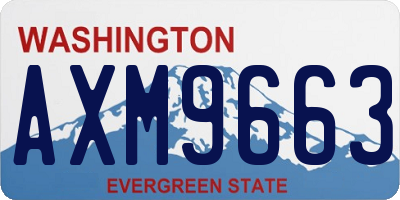 WA license plate AXM9663