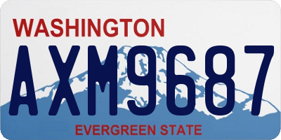 WA license plate AXM9687