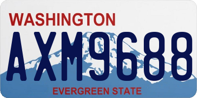 WA license plate AXM9688
