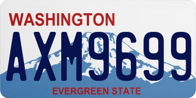 WA license plate AXM9699