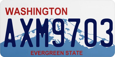 WA license plate AXM9703
