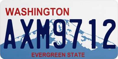 WA license plate AXM9712