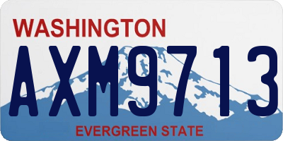 WA license plate AXM9713