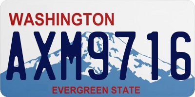 WA license plate AXM9716