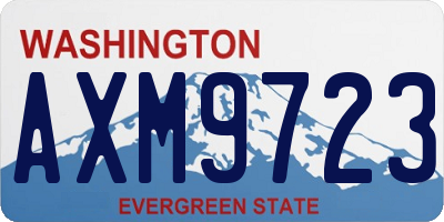WA license plate AXM9723