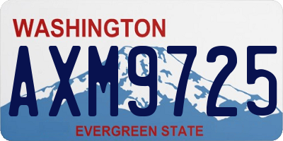 WA license plate AXM9725