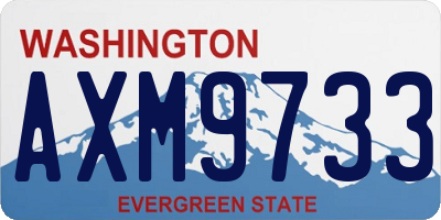 WA license plate AXM9733