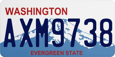 WA license plate AXM9738