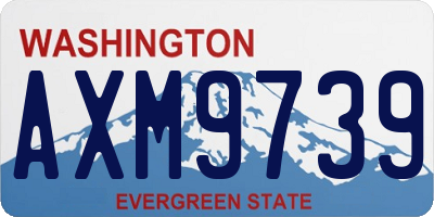 WA license plate AXM9739