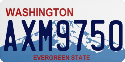 WA license plate AXM9750