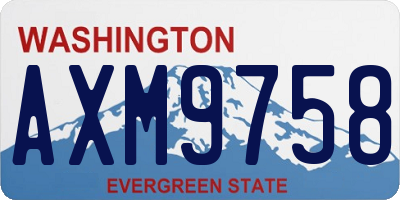WA license plate AXM9758
