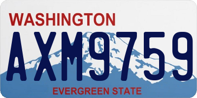 WA license plate AXM9759
