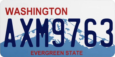 WA license plate AXM9763