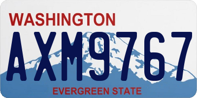 WA license plate AXM9767