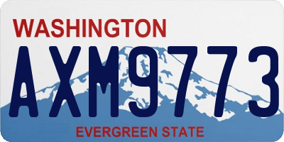WA license plate AXM9773