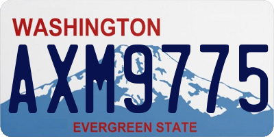 WA license plate AXM9775