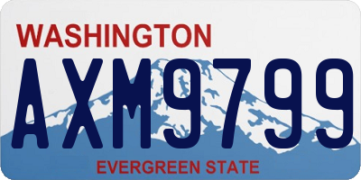 WA license plate AXM9799