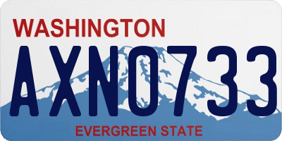 WA license plate AXN0733