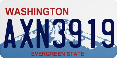 WA license plate AXN3919