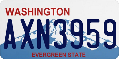 WA license plate AXN3959