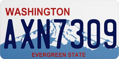 WA license plate AXN7309