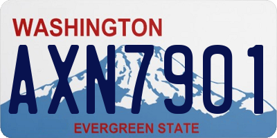 WA license plate AXN7901