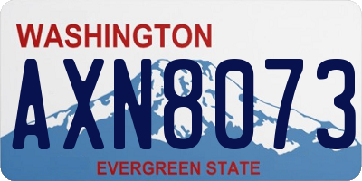 WA license plate AXN8073
