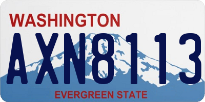 WA license plate AXN8113
