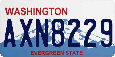 WA license plate AXN8229