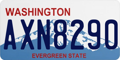WA license plate AXN8290