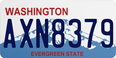 WA license plate AXN8379