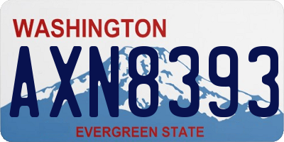 WA license plate AXN8393