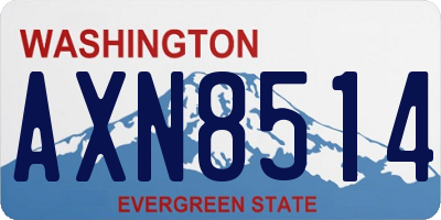 WA license plate AXN8514