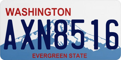 WA license plate AXN8516