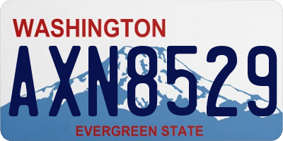 WA license plate AXN8529