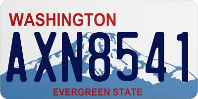 WA license plate AXN8541