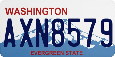 WA license plate AXN8579