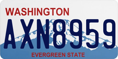 WA license plate AXN8959