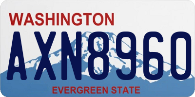 WA license plate AXN8960