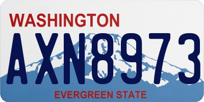 WA license plate AXN8973