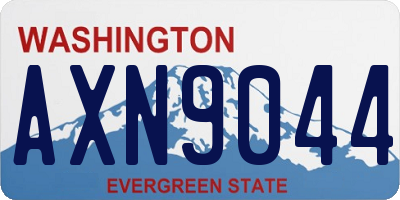 WA license plate AXN9044
