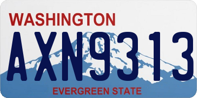 WA license plate AXN9313