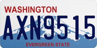 WA license plate AXN9515
