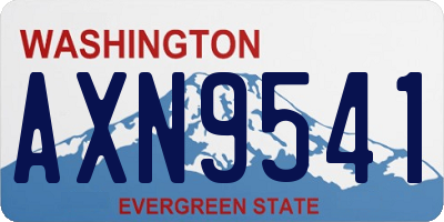 WA license plate AXN9541