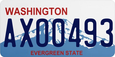 WA license plate AXO0493