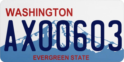 WA license plate AXO0603
