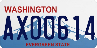 WA license plate AXO0614