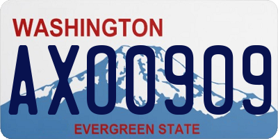 WA license plate AXO0909
