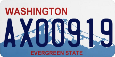 WA license plate AXO0919