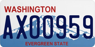 WA license plate AXO0959